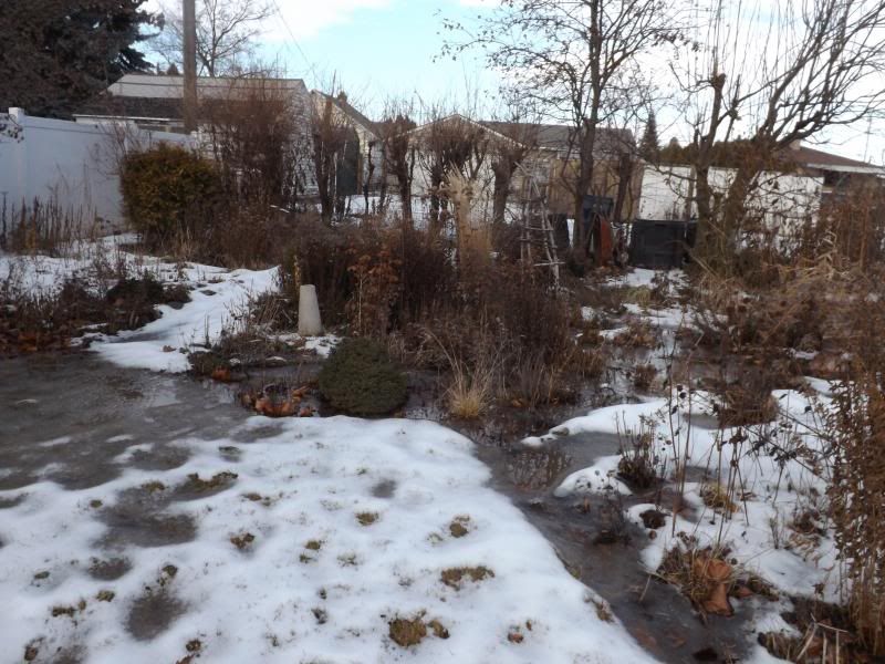 2nd- Jan 2014 photo 2_zps2ce9158f.jpg